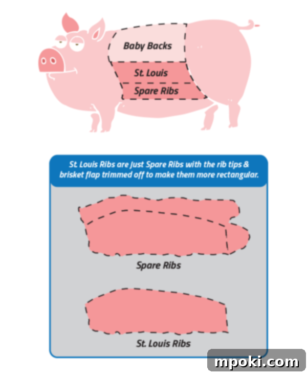 Instant Pot Korean BBQ Spare Ribs: Sweet, Sticky, and Tender 3 A diagram showing locations of rib types on a pig.