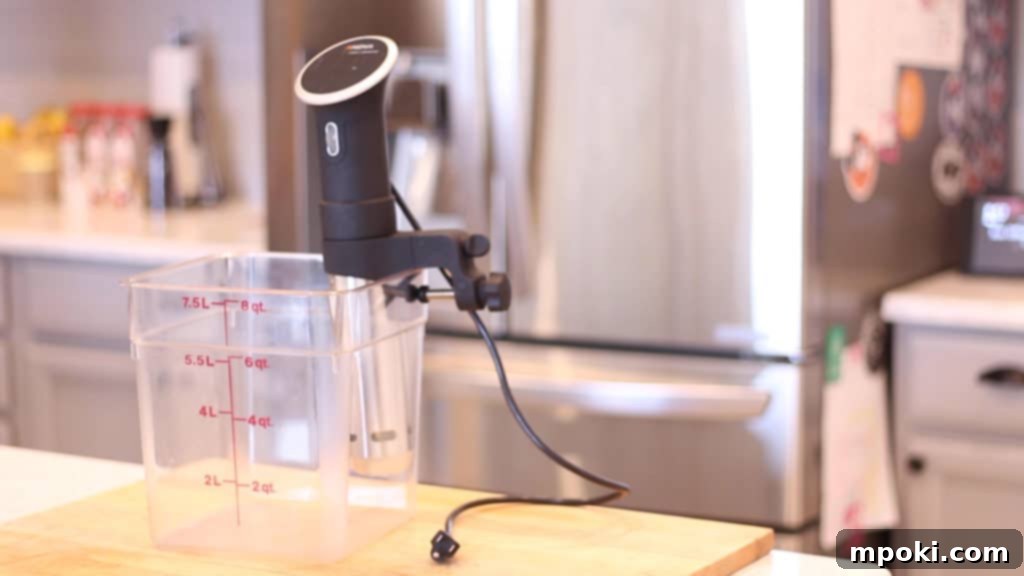 Sous Vide Simplified Your Essential Guide 2 an anova precision cooker on a counter