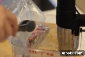 Sous Vide Simplified Your Essential Guide 4 immersion technique for sous vide