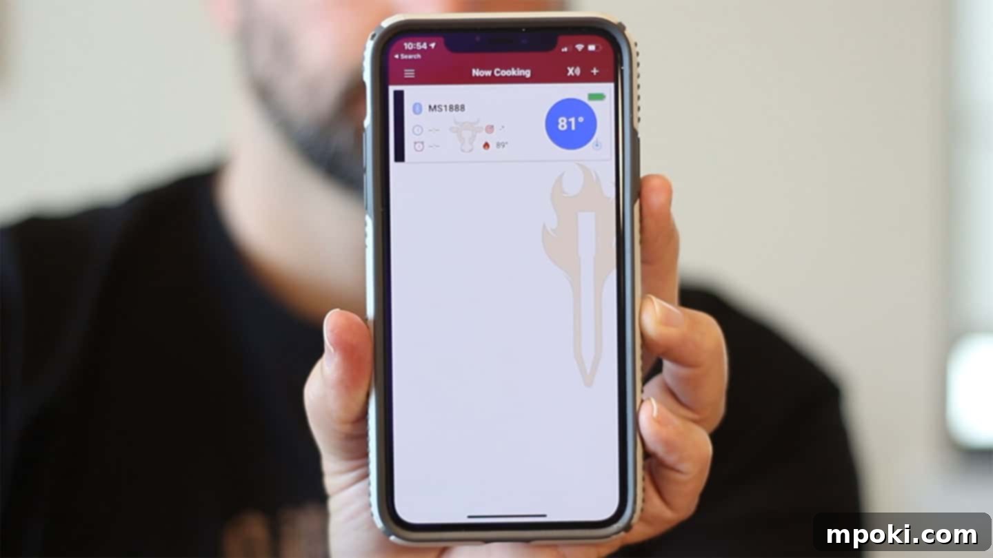 Your Definitive MeatStick Review 9 An iphone being held up showing the meatstick app