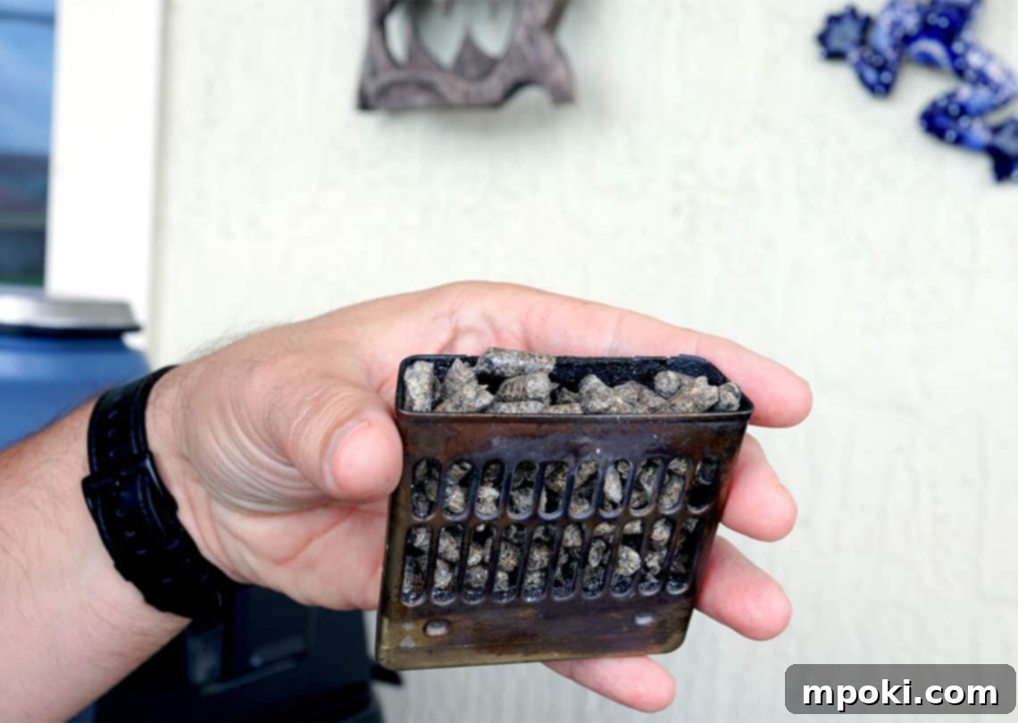 Ninja Woodfire Your Top Questions Answered 5 img 5582 4