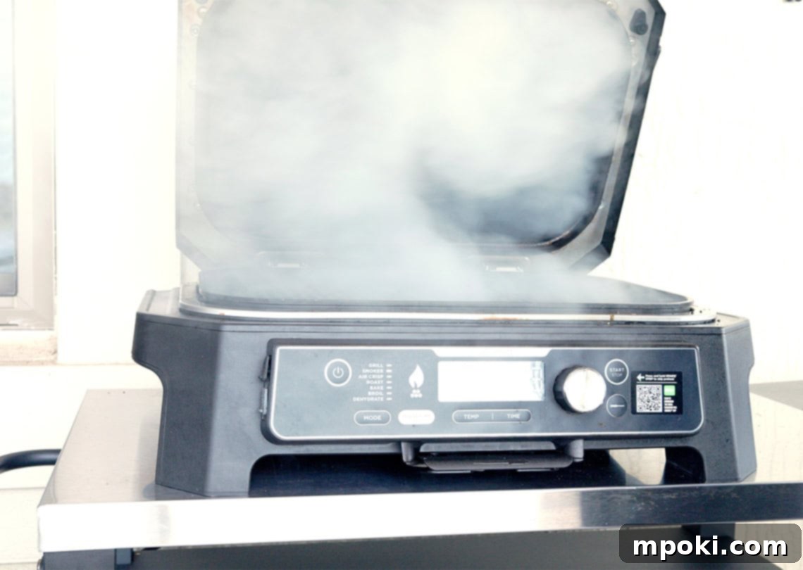 Ninja Woodfire Your Top Questions Answered 6 img 5582 5