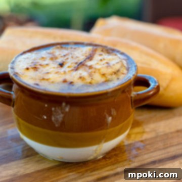 Fire-Kissed Onion Soup: The Ultimate Comfort Food Upgrade 3 Ninja Woodfire smoked onion soup. A smaller image of the soup with focus on the cheese crust.