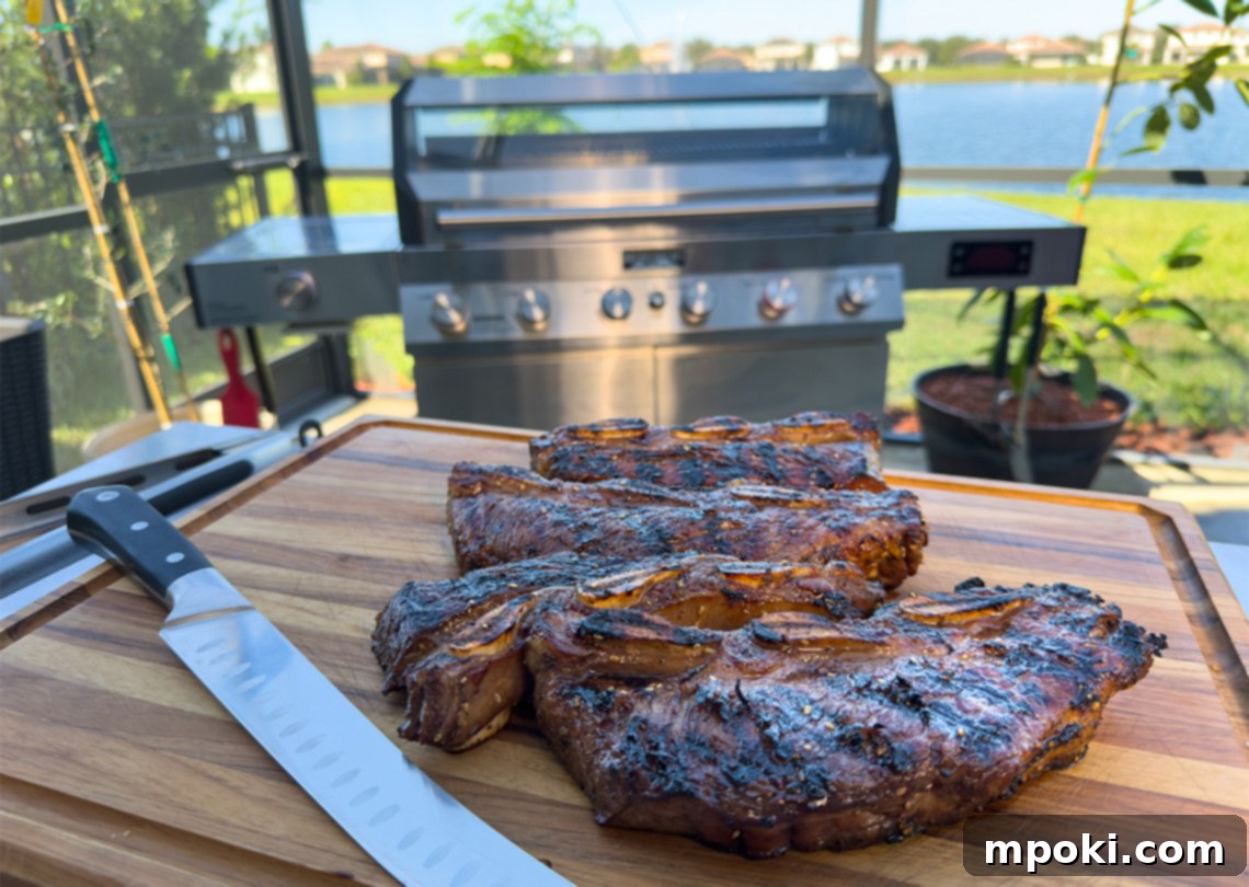 Sizzling Korean BBQ Galbi 2 Grilled Korean Style Flanken Short Ribs, perfectly seared on a Monument Denali 605 Pro grill.