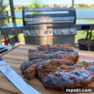 Sizzling Korean BBQ Galbi 3 Grilled Korean Style Flanken Short Ribs.