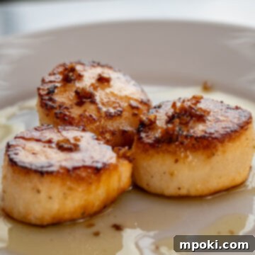 Flame-Kissed Wood Smoked Scallops 3 Woodfire Cold Smoked Scallops