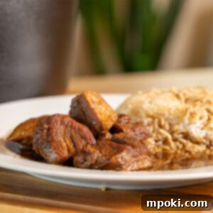 Victoria's Heirloom Pork Adobo 3 Pork Adobo